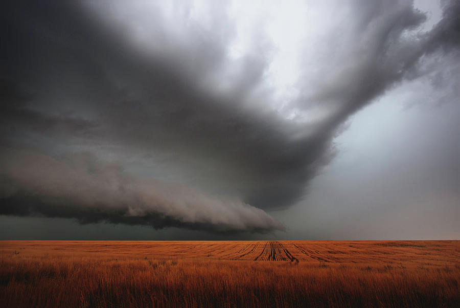 Frighteningly Beautiful by Brian Gustafson Frighteningly Beautiful by Brian Gustafson