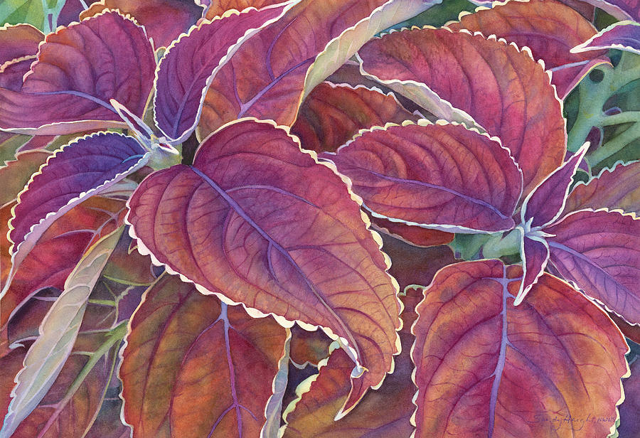 Coleus Painting - Frillery by Sandy Haight