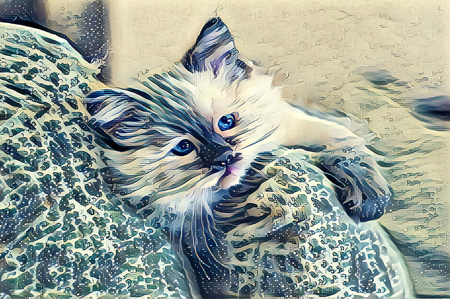 Frisky Blue Eyed Kitten Digital Art by Don Northup