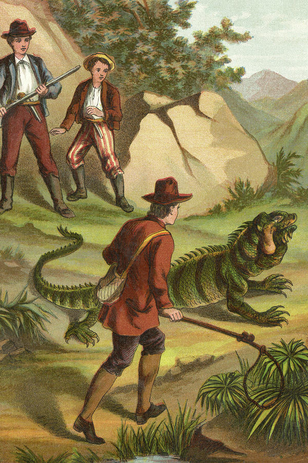 Fritz Finds an Iguana Painting by Johann David Wyss