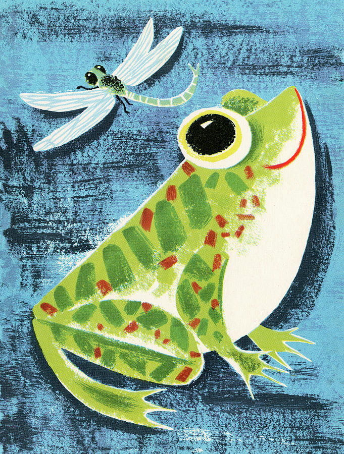 Vintage Drawing - Frog and Dragonfly by CSA Images