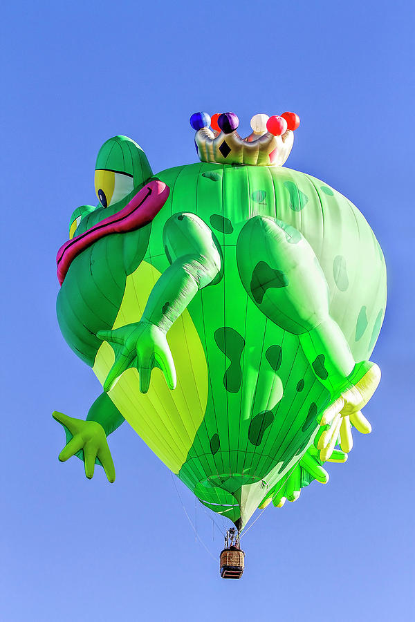 Frog Balloon Photograph by Deborah Penland