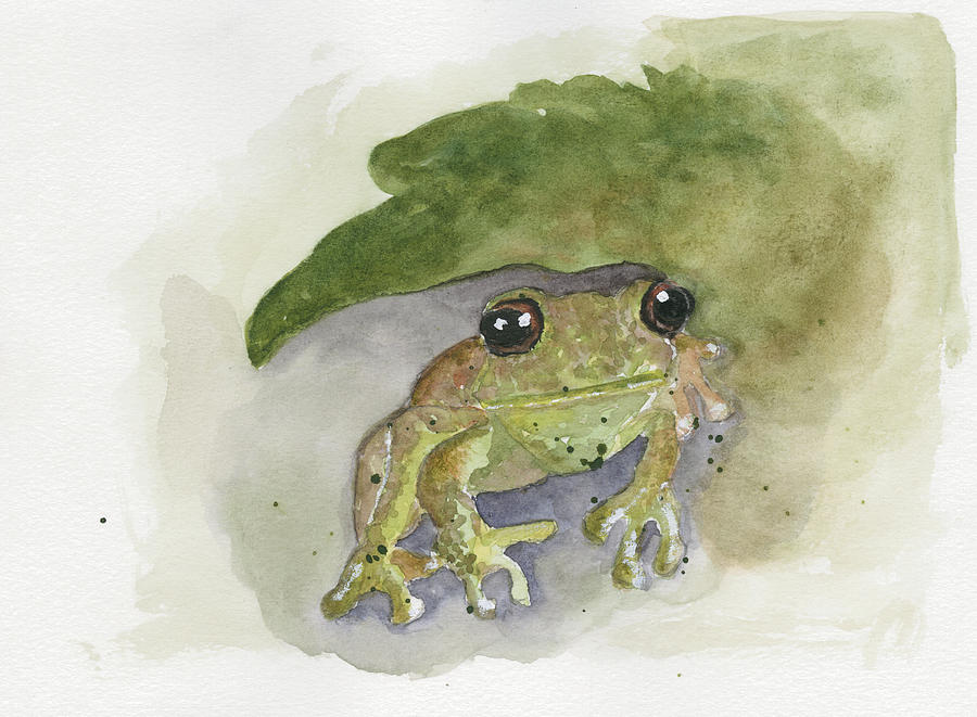 Frog Painting by Christine Munch - Pixels