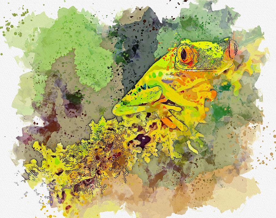 Wildlife Painting - Frog, Costa Rica -  watercolor by Ahmet Asar by Celestial Images