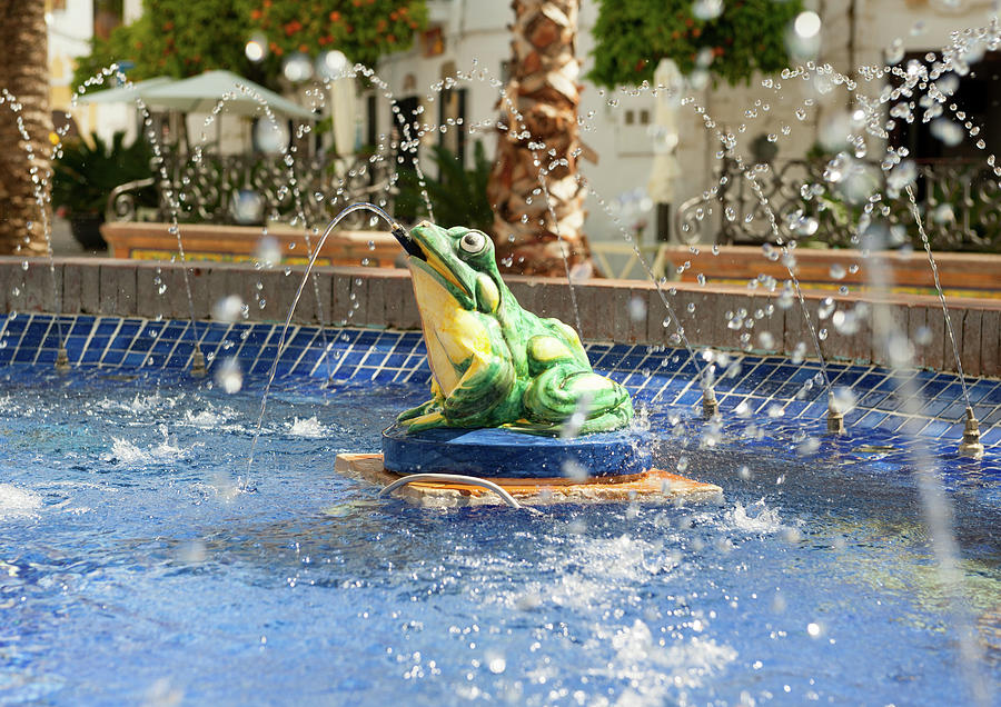 Summer Photograph - Frog Fountain by Helen Jackson