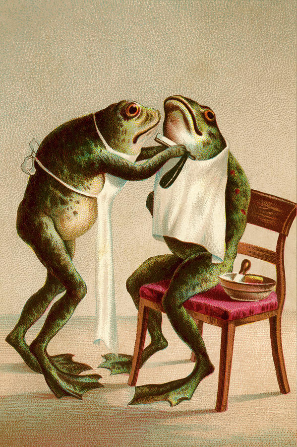 Frog Getting A Shave Digital Art by Graphicaartis Frog Getting A Shave Digital Art by Graphicaartis