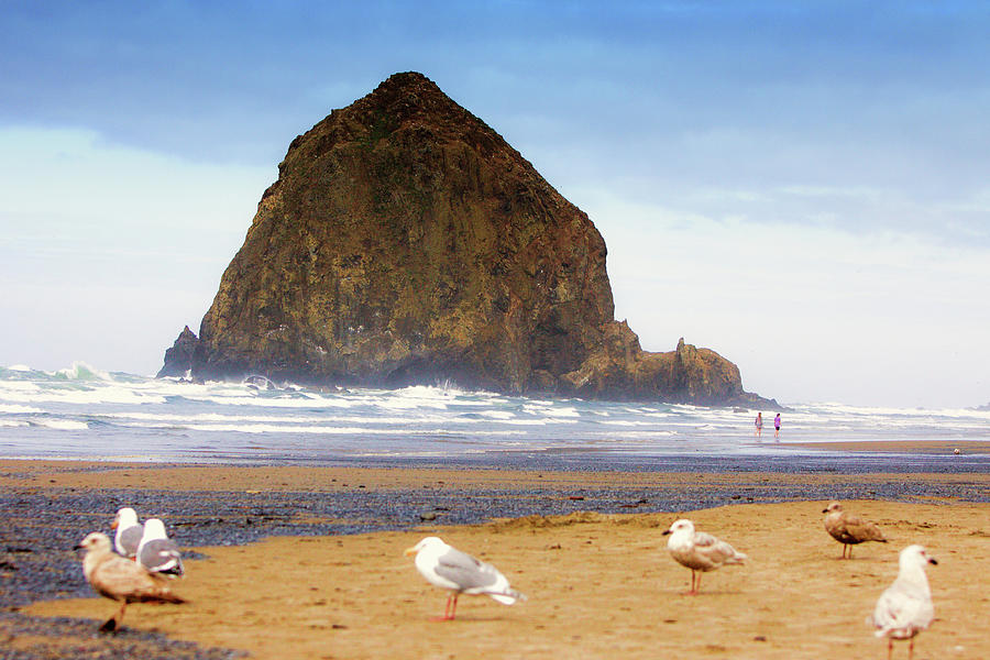 From A Gull's Perspective Haystack Rock Photograph by Kandy Hurley