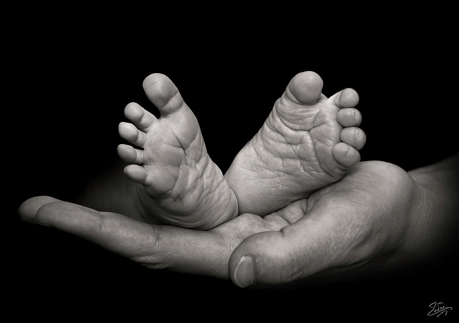 From Generation To Generation by Endre Balogh From Generation To Generation by Endre Balogh