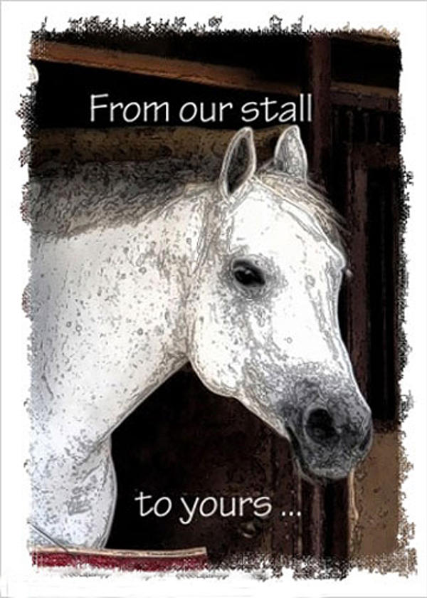 From Our Stall To Yours Photograph by Jerry Sodorff
