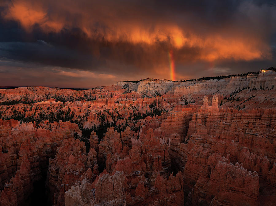 From The Darkness by Edgars Erglis From The Darkness by Edgars Erglis