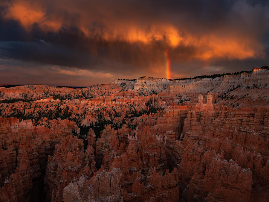 Bryce Canyon National Park Photograph - From The Darkness by Edgars