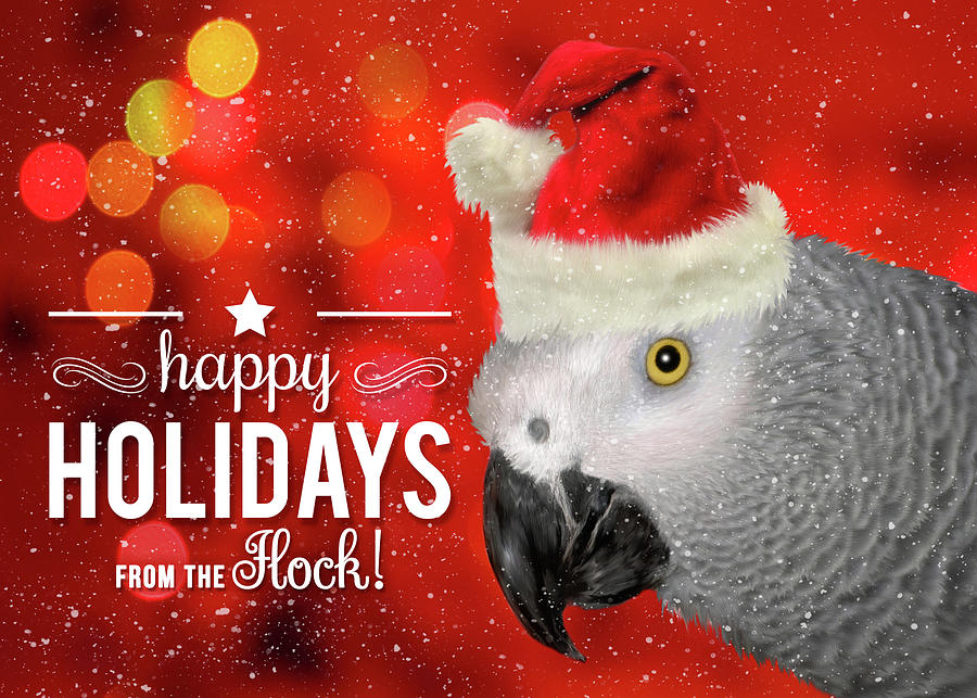 From the Flock Christmas African Gray Parrot  Digital Art by Doreen Erhardt