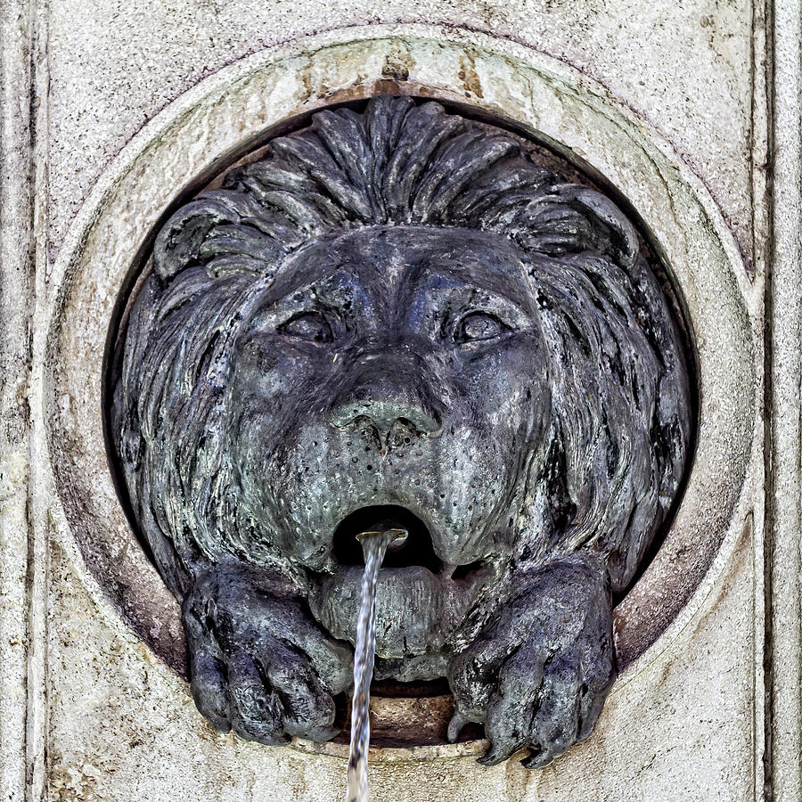 Front view of Lion Fountain Photograph by Roberto Pagani
