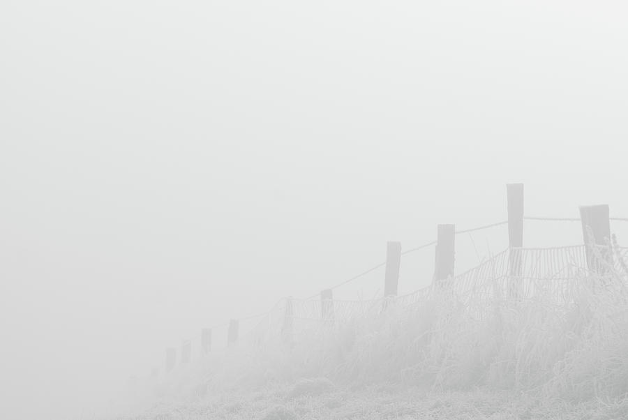 Frost And Fog Photograph by Dominic Cram