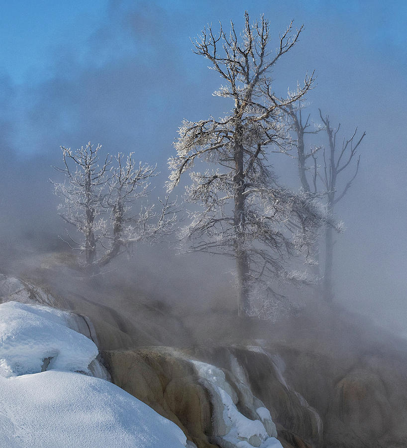 Frost and Steam Photograph by Art Cole