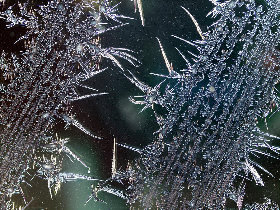 Winter Photograph - Frost Design by Christopher Johnson