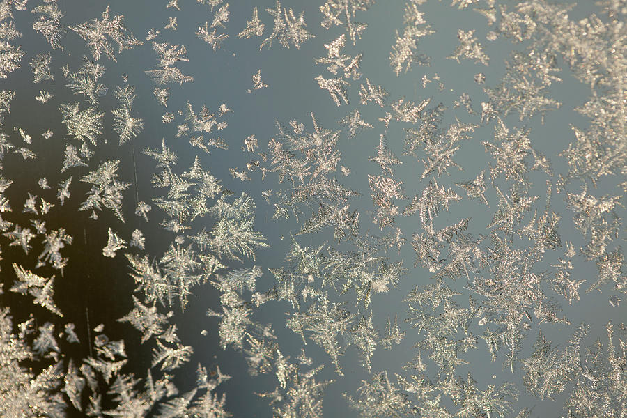 Frost On A Window Photograph by Sean Russell