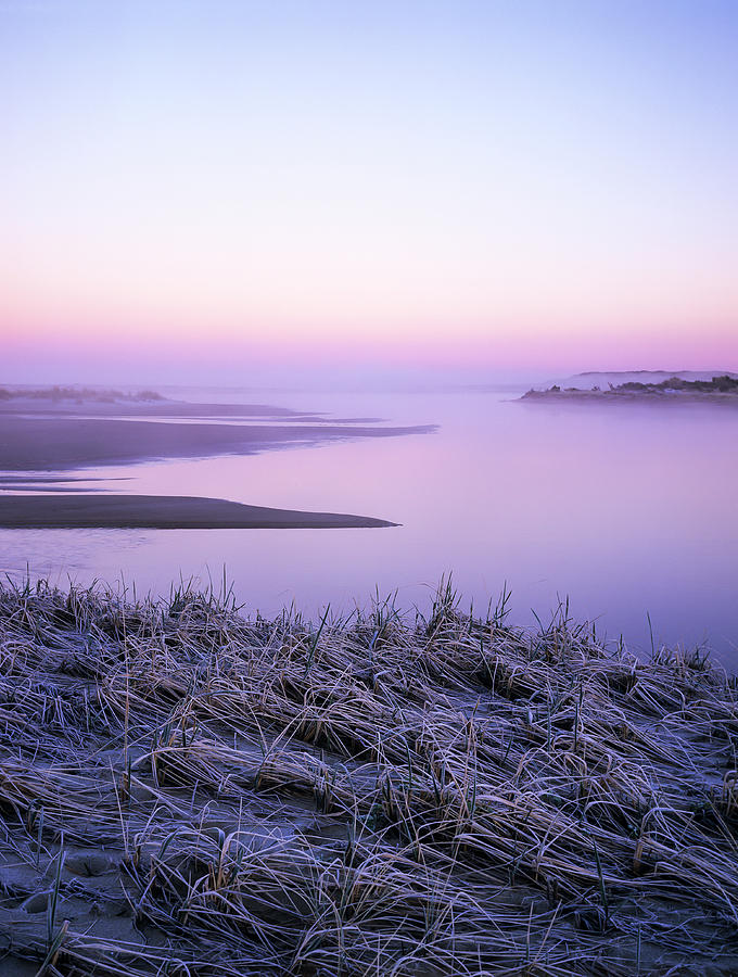 Frost on Beach Grass Photograph by Robert Potts
