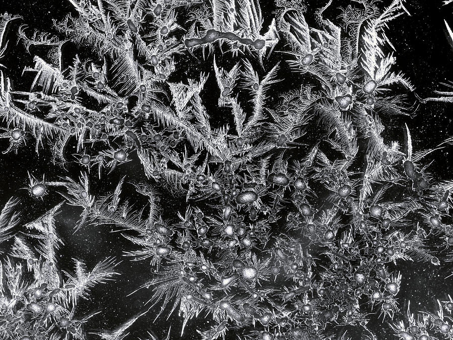 Frost Pattern Photograph by Christopher Johnson