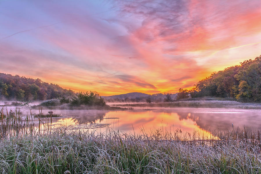 Frosted Dawn At The Wetlands Photograph by Angelo Marcialis