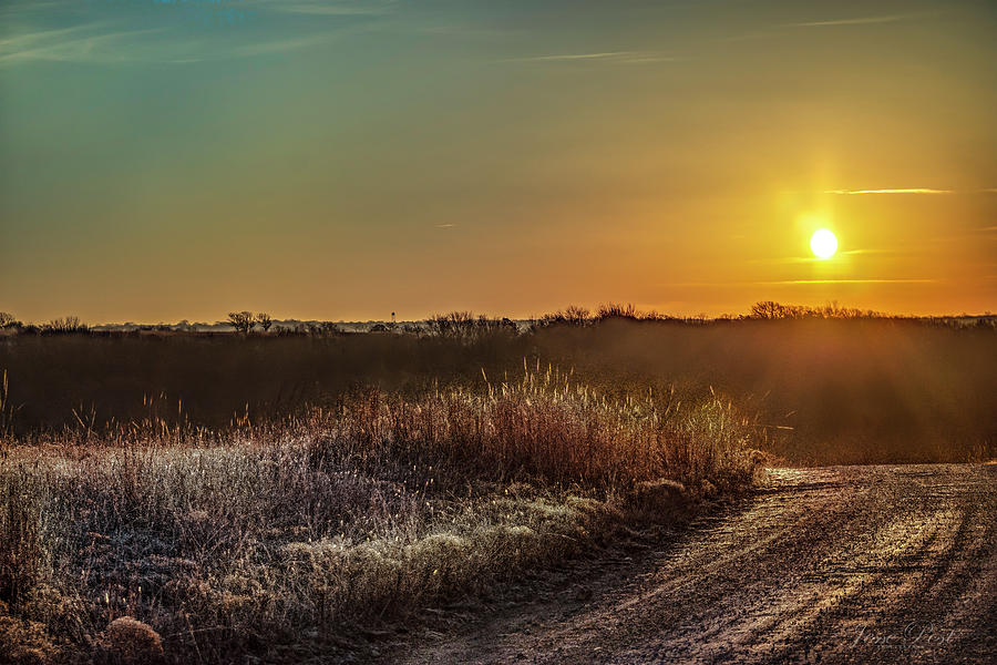 Landscape Photograph - Frosted Sunrise by Jesse POST