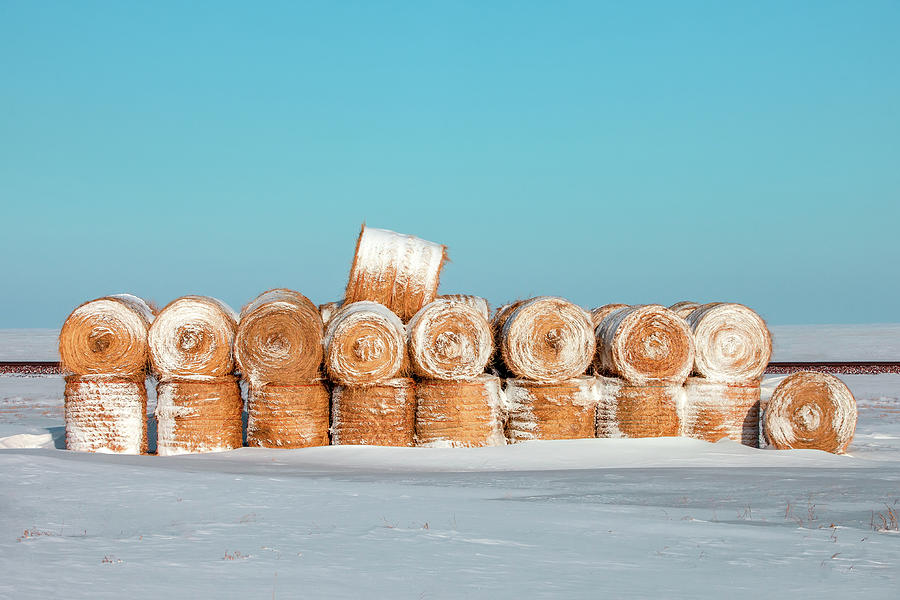 Winter Photograph - Frosted Wheats by Todd Klassy