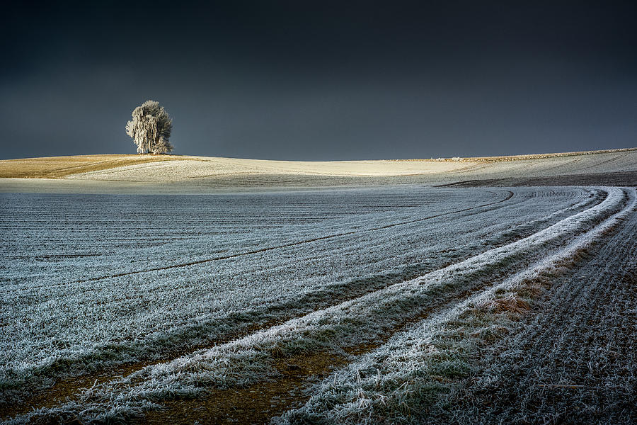 Winter Photograph - Frosty Acres by Jan Rauwerdink
