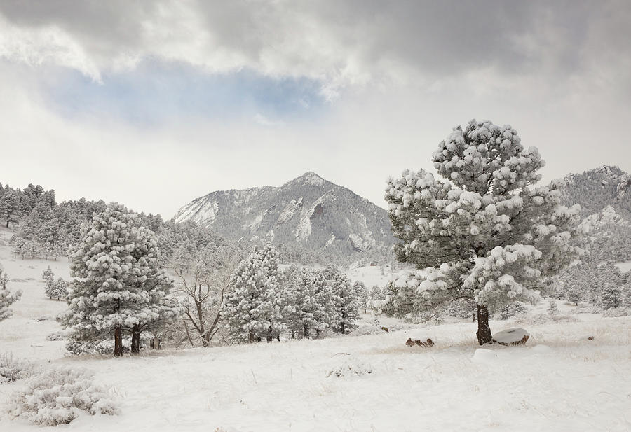 Frosty Flatirons Meadow Photograph