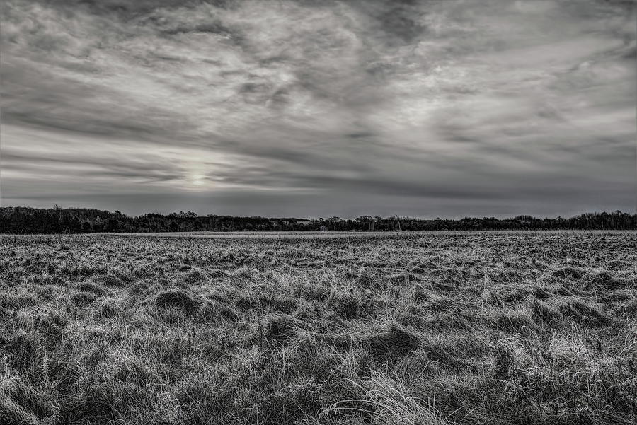 Frosty Hay Field Black And White Photograph by Dale Kauzlaric