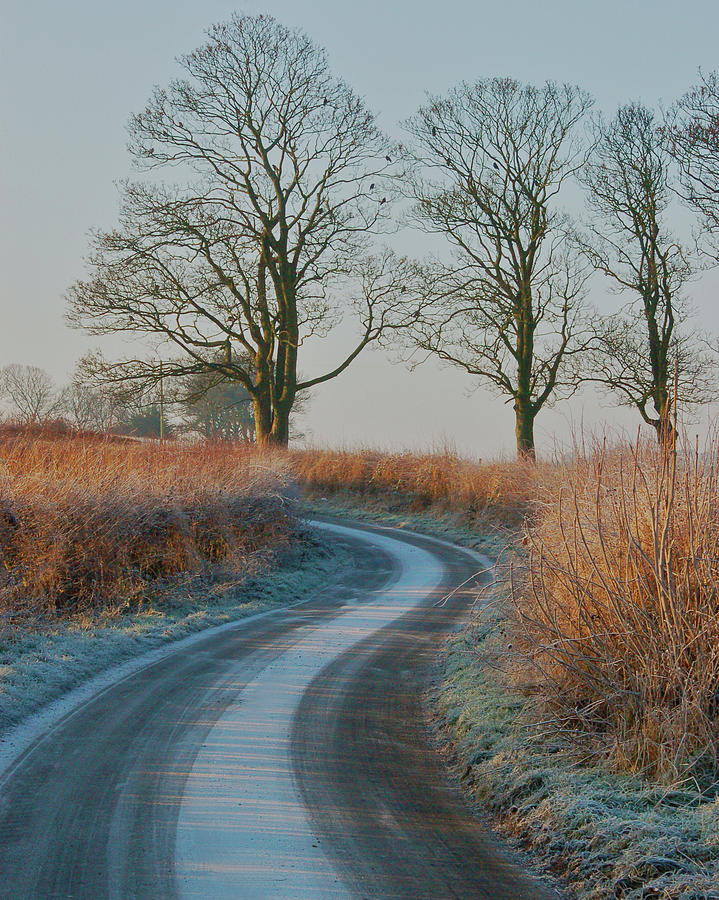 Frosty Lane Photograph by Image By Lesley Mcewan Images