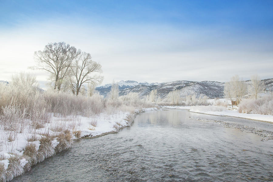 Frosty Morn On The Uncompaghre River Photograph