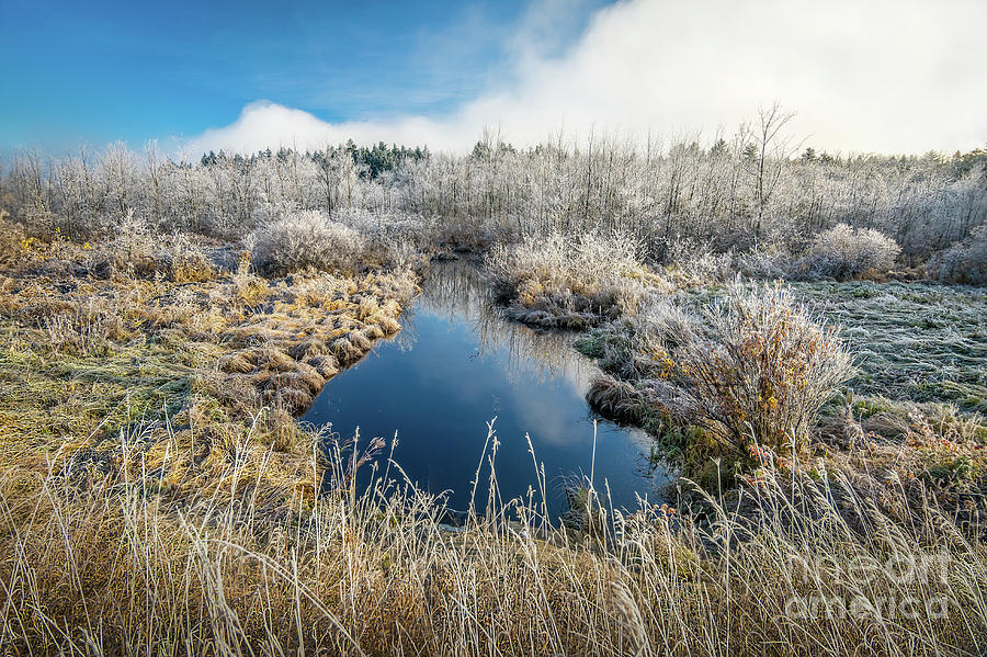 Frosty Morning Photograph by Alan Schroeder