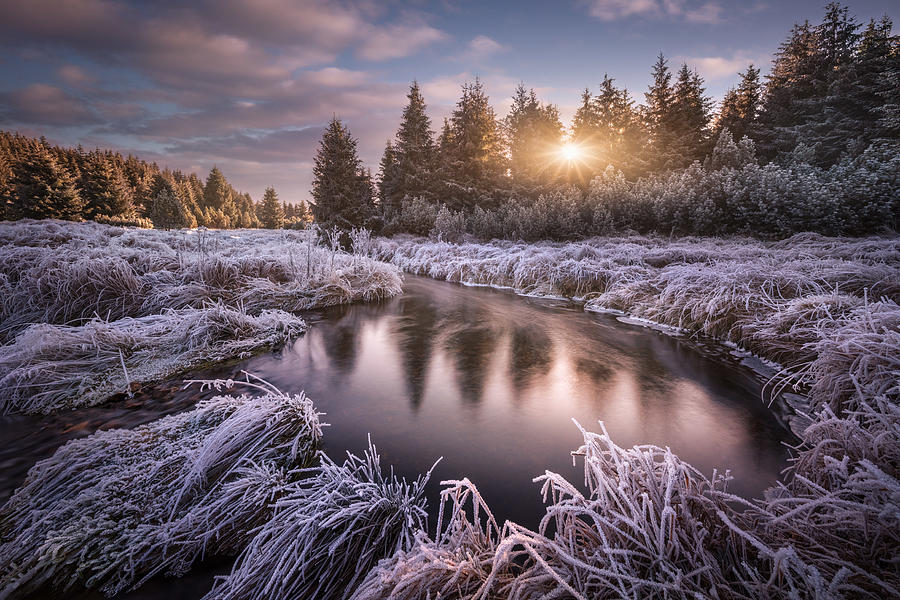 Frosty Morning At The Creek... Photograph by Daniel ?e?icha