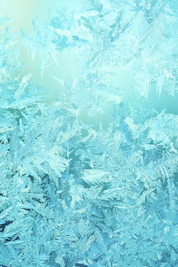 Frosty Pattern On Winter Window Photograph by 5ugarless