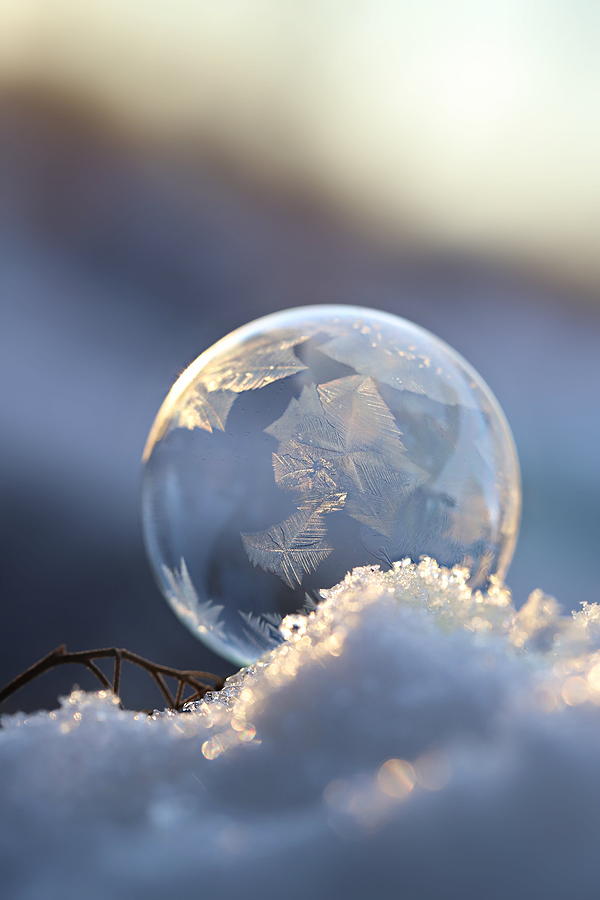 Frosty soap Bubble 8 Photograph by Heike Hultsch - Pixels