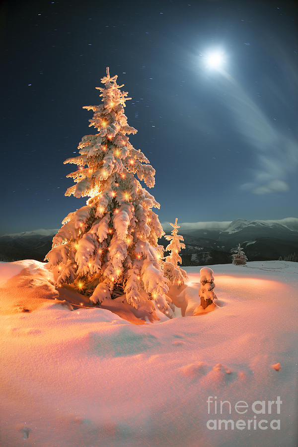 Winter Photograph - Frosty Winter Night Of Christening - by Roman Mikhailiuk