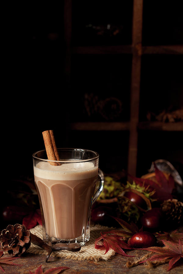 Frothy Hot Chocolate With Cinnamon In An Autumn Setting Photograph by Jane Saunders