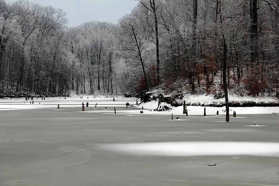 Frozen Alum Creek Photograph by Angela Murdock