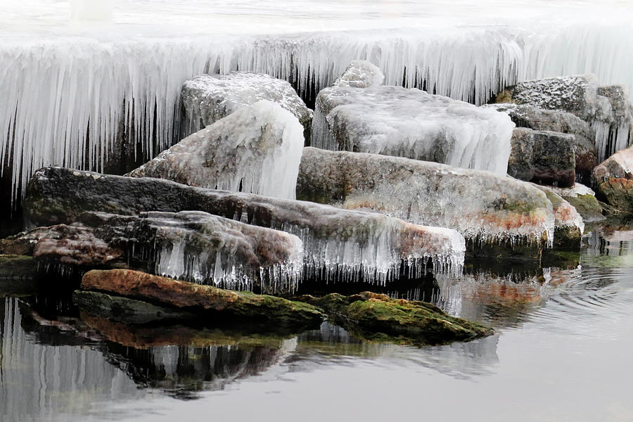 Frozen Beauty Photograph by David T Wilkinson