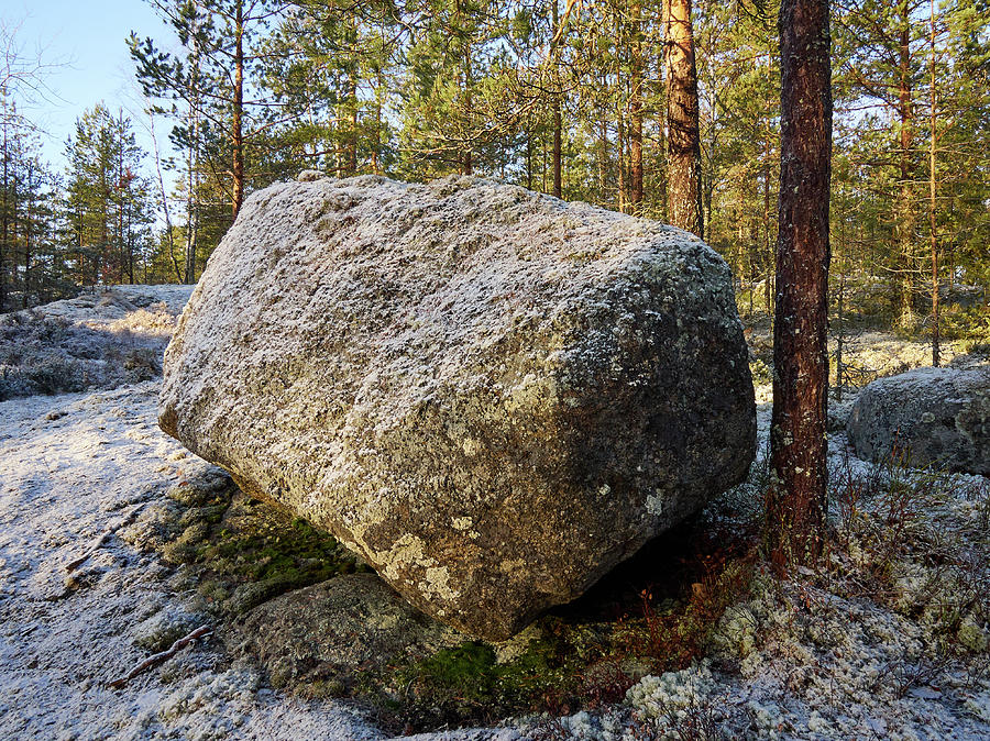 Frozen boulder in the forest Photograph by Jouko Lehto