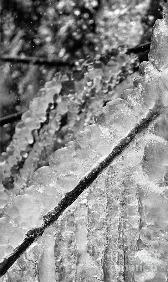 Abstract Photograph - Frozen Braids by Karen Adams