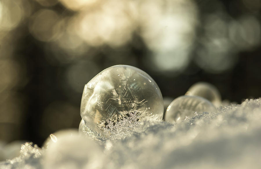 frozen bubble 1 frozen bubble 1