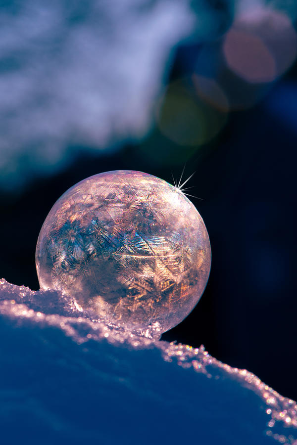 Winter Photograph - Frozen Bubble by Ivy Deng