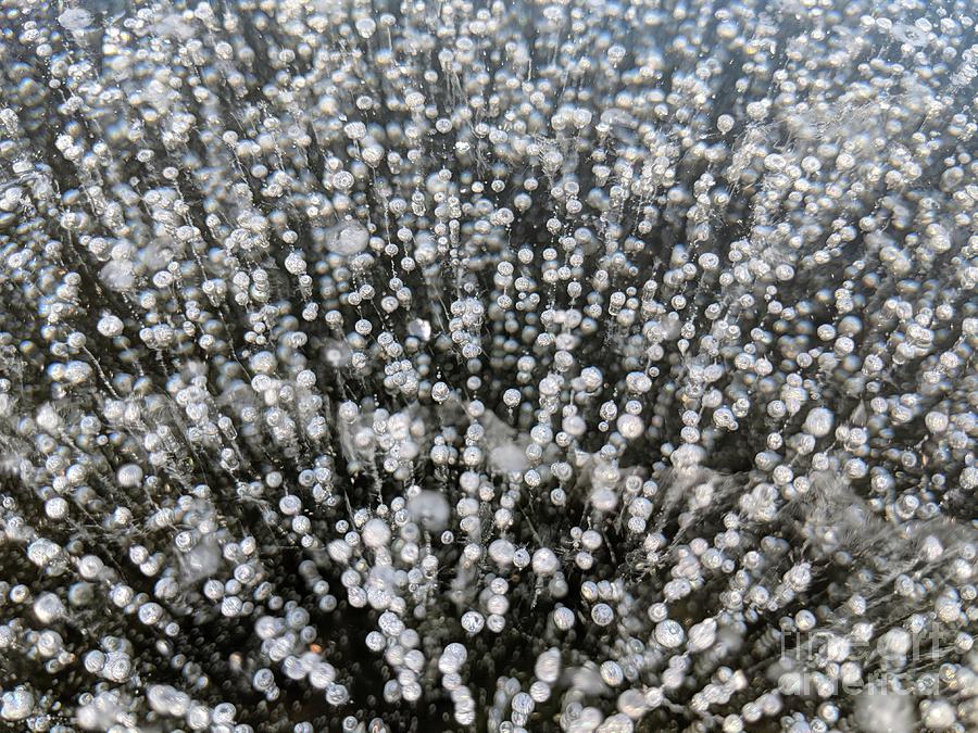 Frozen Bubbles by Christine Stack Frozen Bubbles by Christine Stack