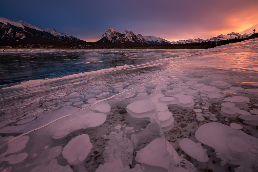 Winter Photograph - Frozen Bubbles by Donald Luo