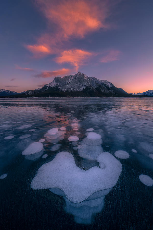 Mountain Photograph - Frozen Bubbles by Lydia Jacobs
