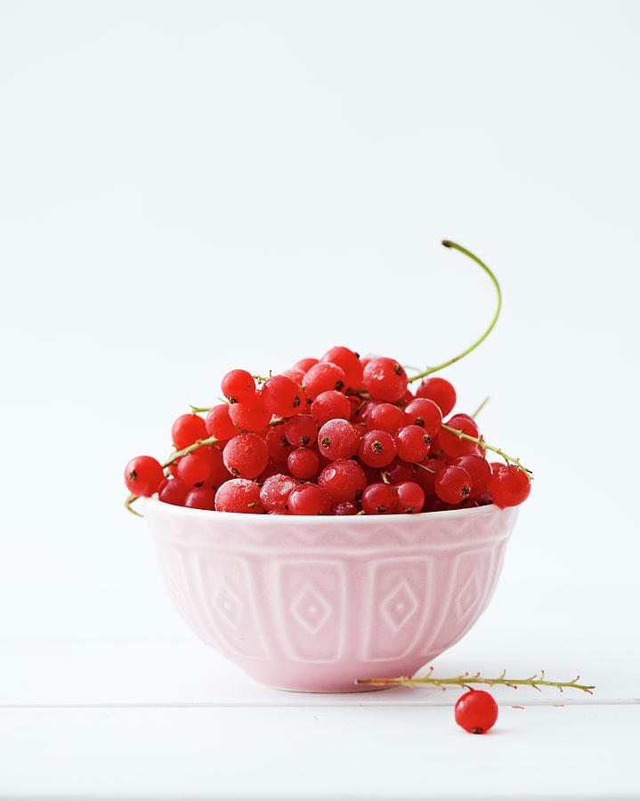 Frozen Cranberries In A Small Ceramic Bowl Photograph by Miha Lorencak