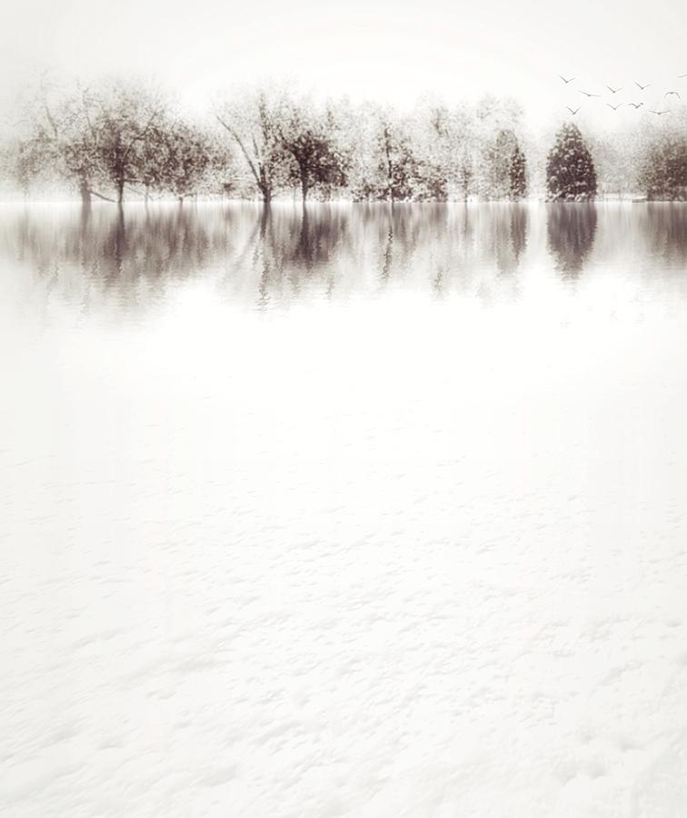 Frozen by Dan Stone Frozen by Dan Stone