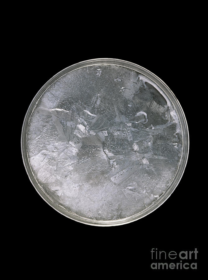 Frozen Ethanoic Acid Photograph by Martyn F. Chillmaid/science Photo Library