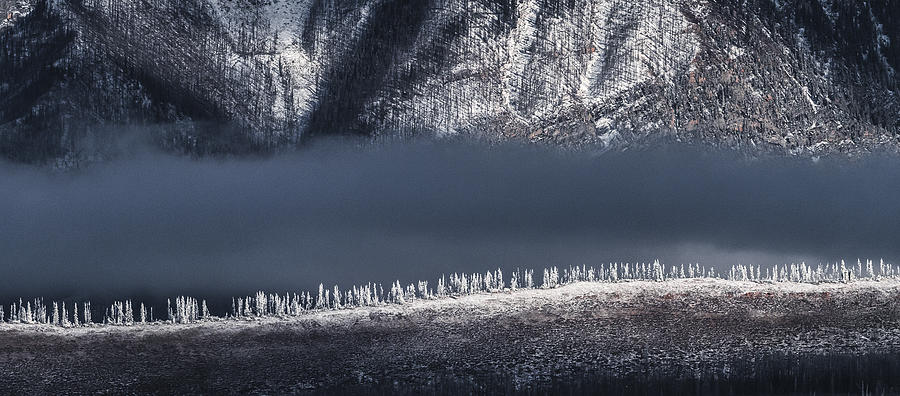 Mountain Photograph - Frozen Firs by Miquel Angel Arts Illana